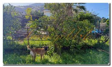 Thumbnail von Casa mit tollem Fernblick auf das Meer, Palermo gleich neben an, antike Möbel dürfen nicht fehlen