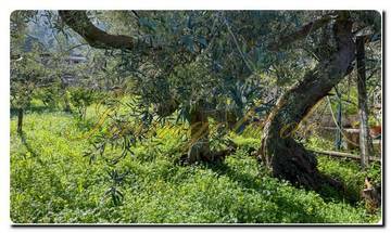 Thumbnail von Casa mit tollem Fernblick auf das Meer, Palermo gleich neben an, antike Möbel dürfen nicht fehlen