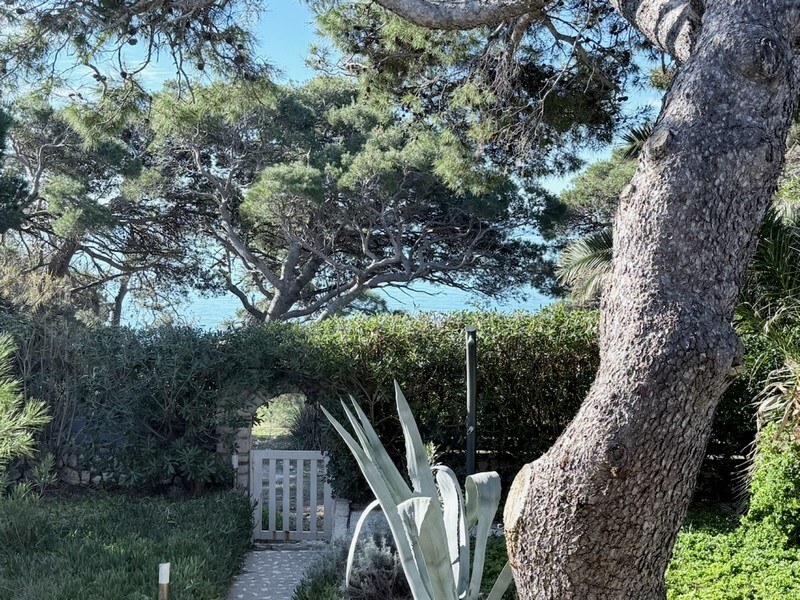 Thumbnail von Haus in der 1. Reihe zum Meeresufer