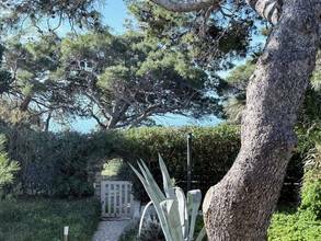 Thumbnail von Haus in der 1. Reihe zum Meeresufer