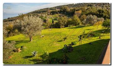 Thumbnail von Super-willa na północy Sycylii na około 20 000 m² terenu, parkowy ogród, widok na Wyspy Eolskie, gaje oliwne i wspaniały widok na morze