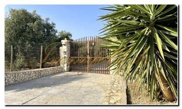 Thumbnail von Immogold Sud-Sicile SGS 26039 Découvrez la beauté tranquille de la Sicile ; propriété de rêve avec jardins méditerranéens et vaste terrain