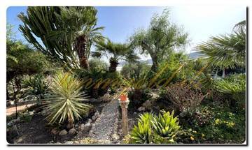 Thumbnail von Immogold Sud-Sicile SGS 26039 Découvrez la beauté tranquille de la Sicile ; propriété de rêve avec jardins méditerranéens et vaste terrain