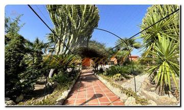 Thumbnail von Immogold Sud-Sicile SGS 26039 Découvrez la beauté tranquille de la Sicile ; propriété de rêve avec jardins méditerranéens et vaste terrain