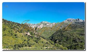 Immogold Nord-Sizilien, südlich ausgerichtetes ca. 27.000 m² großes Areal, inklusive einer erteilten Genehmigung zum Bau eines Luxus-Campingplatzes in der Nähe von Cefalù, im Naturpark Madonie.