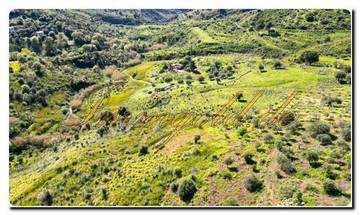 Thumbnail von Immogold Kuzey-Sicilya, güney yönünde yaklaşık 27.000 m² büyüklüğünde bir alan, Cefalù yakınlarında, Madonie Doğa Parkı'nda lüks bir kamp alanı inşası için verilen izin dahil.