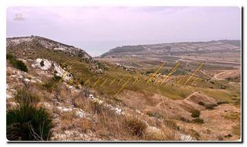 Thumbnail von Großes Grundstück umfaßt ca. 19.000 m² mit Rustico und Meerblick