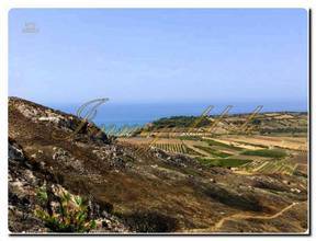 Thumbnail von Büyük arazi yaklaşık 19.000 m² olup, Rustico ve deniz manzarası içermektedir.