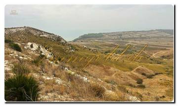 Thumbnail von Großes Grundstück umfaßt ca. 19.000 m² mit Rustico und Meerblick