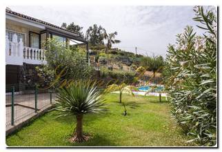 Thumbnail von Immogold Sonnenschein Insel Teneriffa zum Verlieben Finca mit Meerblick und Pool