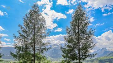 Thumbnail von Golf-in/Golf-out Landhaus in sonniger Toplage