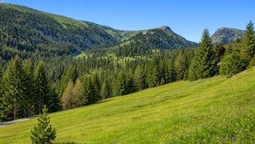 Thumbnail von 9 baugenehmigte Chalets mit Freizeitwohnsitzwidmung