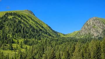 Thumbnail von 9 baugenehmigte Chalets mit Freizeitwohnsitzwidmung