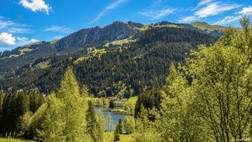 Thumbnail von Einzigartiges Refugium in Toplage mit Blick auf den Schwarzsee