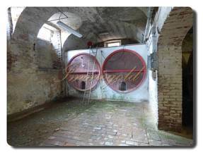 Thumbnail von Adelsvilla aus dem 19. Jahrhundert