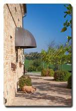 Thumbnail von Immogold exklusives Villen-Landhaus aus dem 15. Jhd. ehemals im Besitz des Templerordens