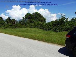 Thumbnail von ***FLORYDA: PROSTO OD ET WSG GERMANY - już wyrównana działka budowlana na nowym osiedlu***