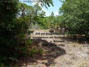 Thumbnail von ***FLORIDA: DIREKT VOM ET WSG GERMANY - Güzel su arazisi***