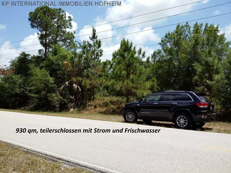 ***FLORIDA: DIRECTO DESDE ET WSG GERMANY - Bonito terreno con agua***