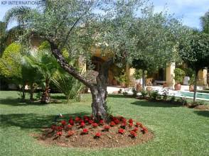 Thumbnail von ***Traditionell andalusische Villa in San Pedro de Alcántara***