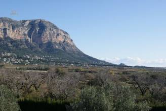 Thumbnail von ***Großzügige Finca in Jesus Pobre bei Denia***