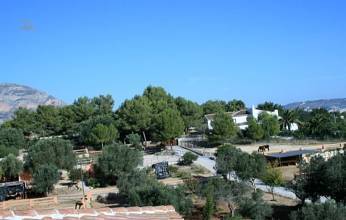 Thumbnail von ***Stilvolles Landhaus mit Pferdezucht***