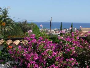 Thumbnail von ***Schöne 3 Schlafzimmer-Villa mit Zentralheizung und stadtnah gelegen***