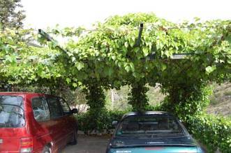 Thumbnail von ***Überaus großzügige Villa in Javea-Puchol***