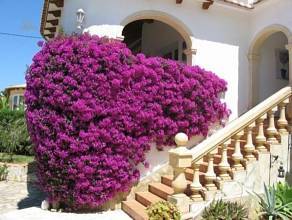 Thumbnail von ***Sehr gepflegte und stadtnahe Villa mit Pool***