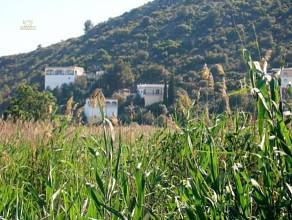 Thumbnail von ***Schöne Villa am Riu Bullent***