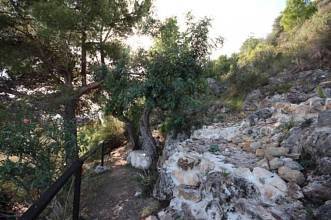 Thumbnail von ***Schöne Villa am Riu Bullent***