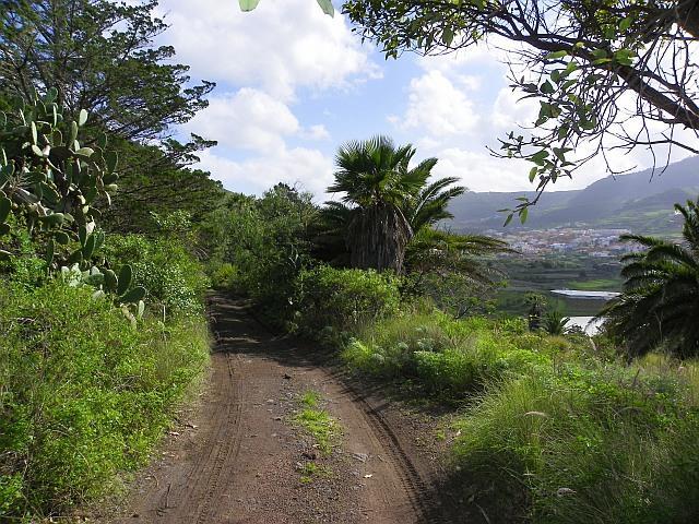Thumbnail von Agrarland auf Teneriffa