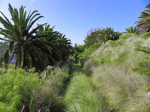 Thumbnail von Agrarland auf Teneriffa