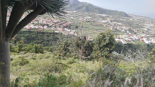 Thumbnail von Agrarland auf Teneriffa