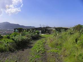 Thumbnail von Agrarland auf Teneriffa