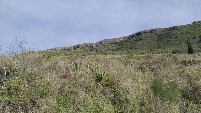 Thumbnail von Agrarland auf Teneriffa