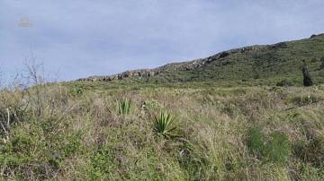 Thumbnail von Agrarland auf Teneriffa