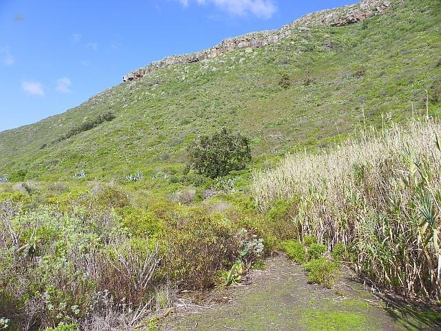 Thumbnail von Agrarland auf Teneriffa