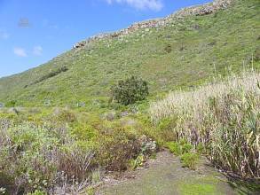 Thumbnail von Agrarland auf Teneriffa