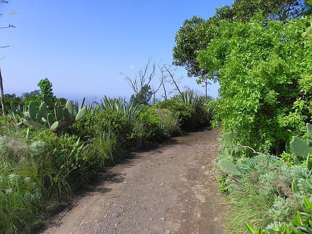 Thumbnail von Agrarland auf Teneriffa