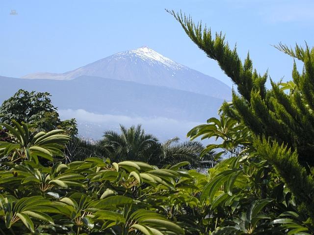 Thumbnail von Agrarland auf Teneriffa