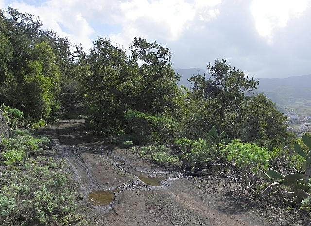 Thumbnail von Agrarland auf Teneriffa