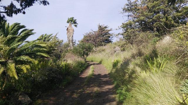 Thumbnail von Agrarland auf Teneriffa