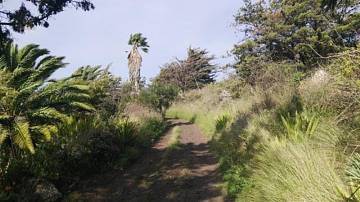 Thumbnail von Agrarland auf Teneriffa