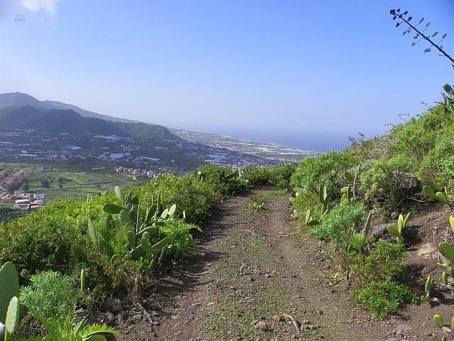 Thumbnail von Agrarland auf Teneriffa