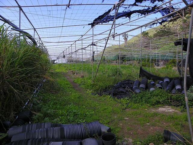 Thumbnail von Agrarland auf Teneriffa