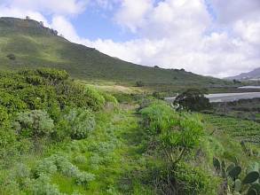 Thumbnail von Agrarland auf Teneriffa