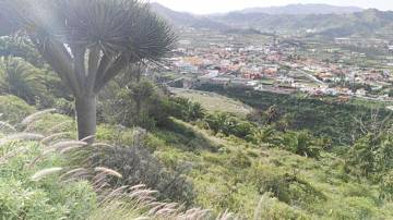 Thumbnail von Agrarland auf Teneriffa