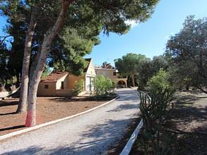 Thumbnail von ***Große Villa mit drei Wohneinheiten***