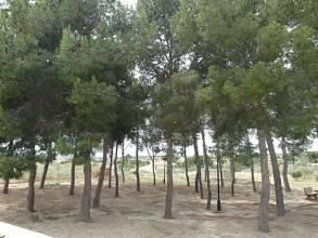 Thumbnail von ***Landhaus-Villa mit großem Pool und Meerblick***